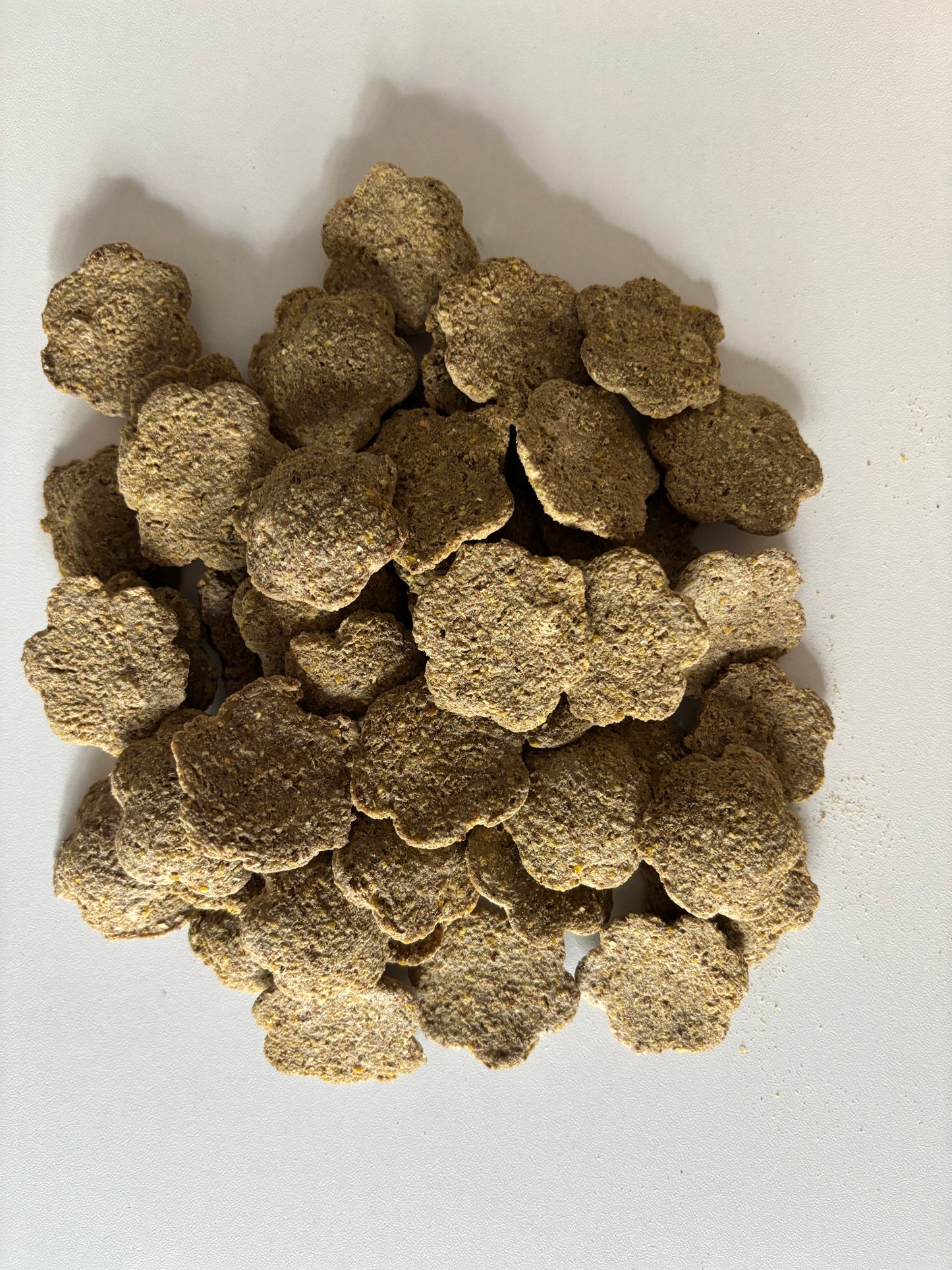 FRIANDISES HDCP KIWI- 1KG