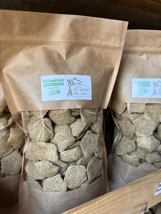FRIANDISES HDCP COCO - 500g